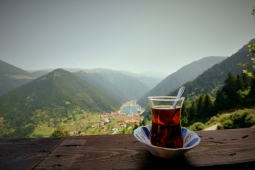 Tea in the mountains