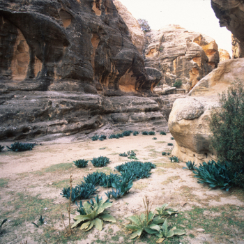 Ancient Nabataen settlement of Baida